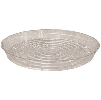 7 inch Clear Saucer